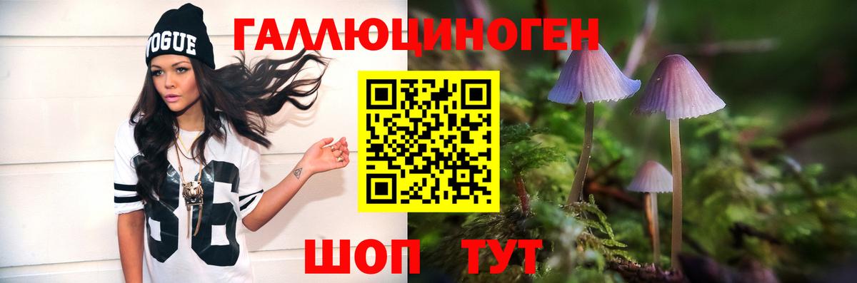 Галлюциногенные грибы Psilocybine cubensis  Псилоцибиновые грибы MAGIC MUSHROOMS  Усть-Джегута  Вход с VPN 